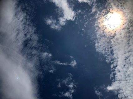 やって来た冬