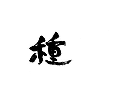 種　”懐古する未来”　ラテラルオーシャン